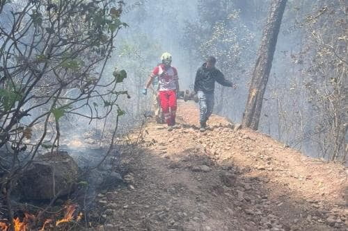 Video: Incendio forestal de Donato Guerra, cobra la vida de tres brigadistas